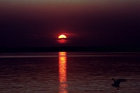 Sonnenuntergang Chiemsee-CoN01_26